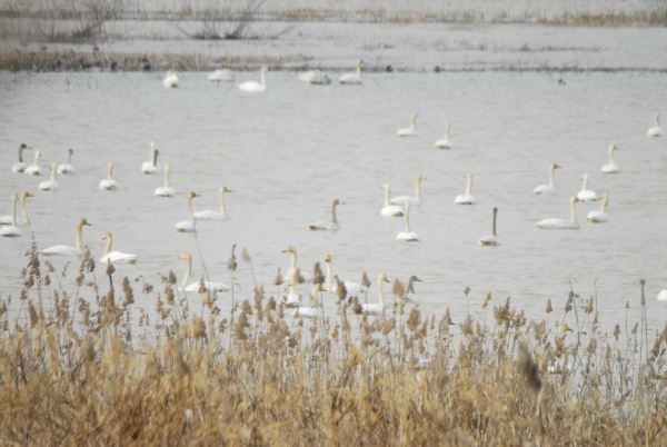 (사진=환경운동연합)