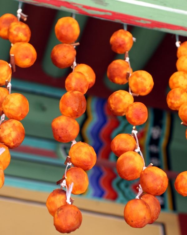 사진=박태현 독자