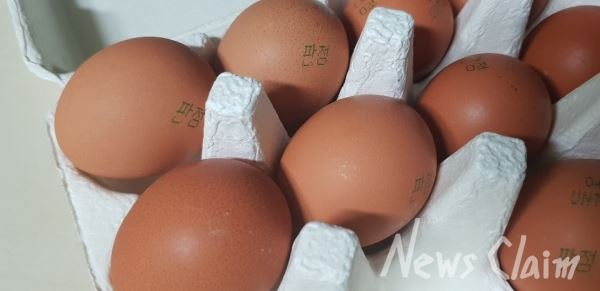 사진=뉴스클레임DB