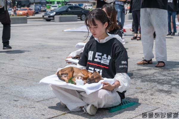 동물 단체들이 '복날추모행동'서 개모형으로 제단을 차린 뒤 헌화하는 퍼포먼스를 펼치고 있다.
