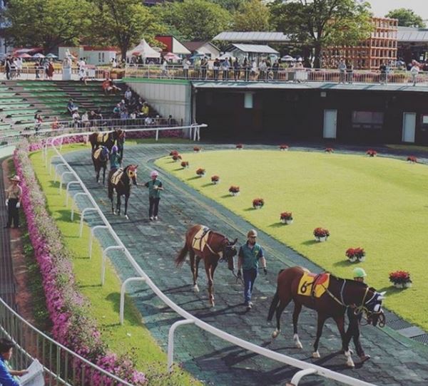 사진=렛츠런파크 페이스북