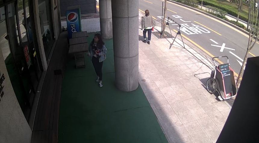 반려견 주인이 올린 당시 상황 모습.