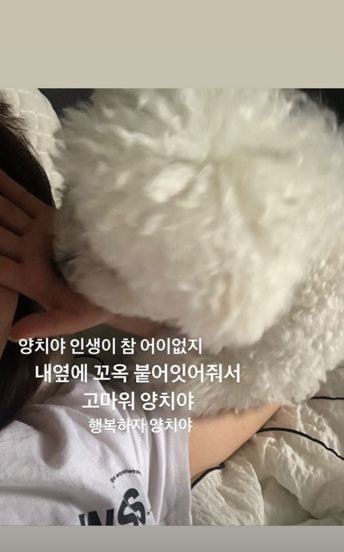 사진=정채연 반려견 전용 인스타그램 스토리