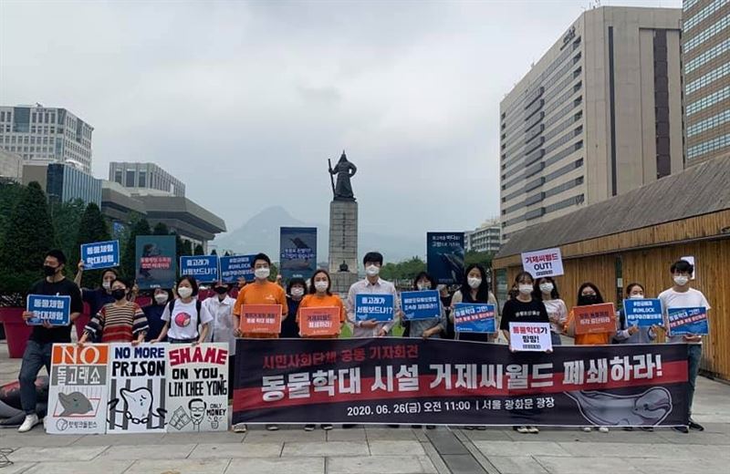 시민단체 회원들은 26일 서울 종로구 이순신 동상 앞에서 기자회견을 열고 경남 거제시의 테마파크 '거제 시월드'를 당장 폐쇄하라고 촉구했다. 동물권행동 카라 제공
