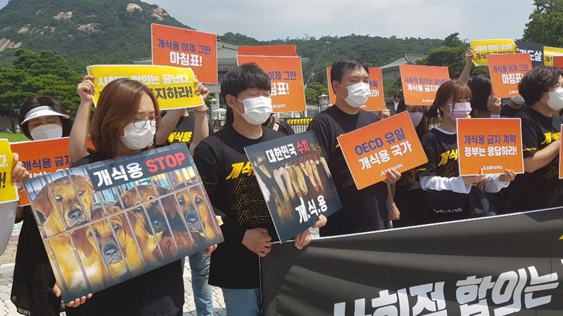 동물자유연대, 동물권카라 등이 16일 오전 청와대 분수대 앞에서 기자회견을 열고 개 식용 금지를 촉구했다. 사진=천주영 기자