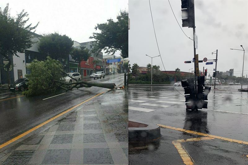 태풍 '바비'가 제주를 강타하며 26일 제주 곳곳에 가로수, 신호등 파손이 속출하고 있다. 사진=SNS