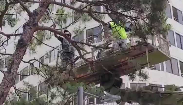 사진=김동길 기자