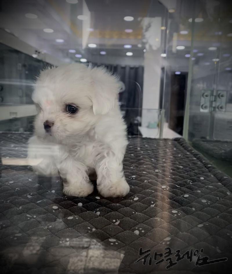 사진=심은아 기자