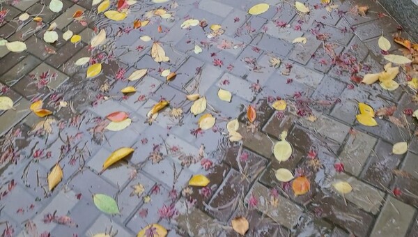 사진=김서윤 기자