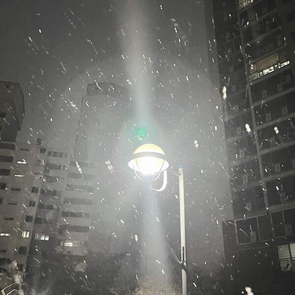 출근길, 첫눈 내리는 서울. 사진=김동길 기자