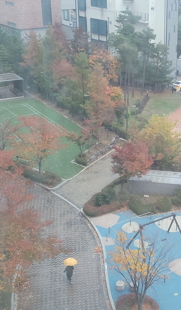 사진=김서윤 기자