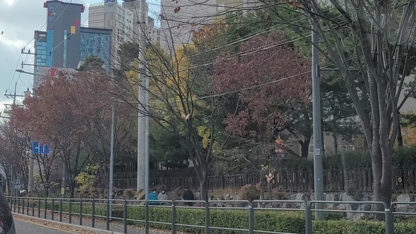 사진=김서윤 기자