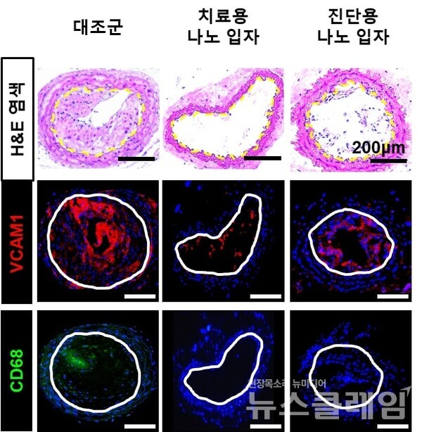 사진=연세의료원