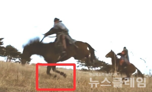 KBS '정도전' 중 달리는 말의 앞 다리에 와이어가 감겨있는 모습. 사진=한국동물보호연합