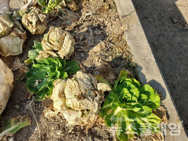 사진=환경운동연합