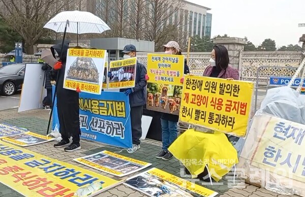 30일 오후 서울 여의도 국회 앞 ‘개식용 금지법 국회 통과를 촉구하는 기자회견’. 사진=김서윤 기자