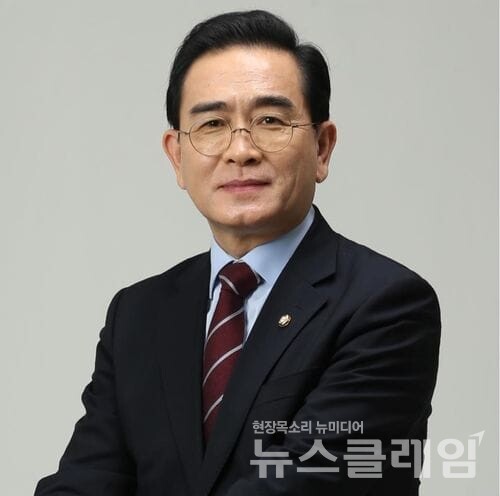 태영호 국민의힘 의원