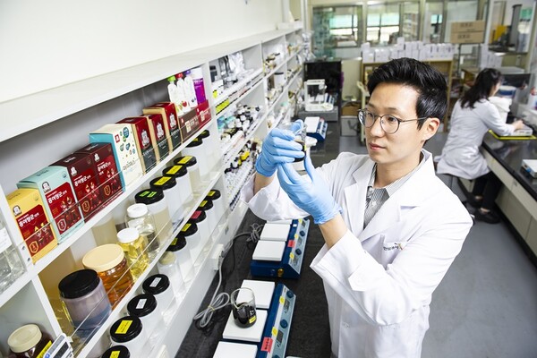 KGC인삼공사 제공