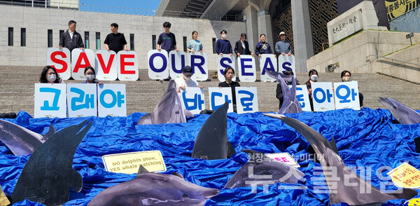 3일 오전 서울 광화문 세종문화회관 앞에서 진행된 ‘전국 6곳 수족관 22마리 고래 바다방류 촉구 캠페인 및 기자회견’. 사진=김서윤 기자