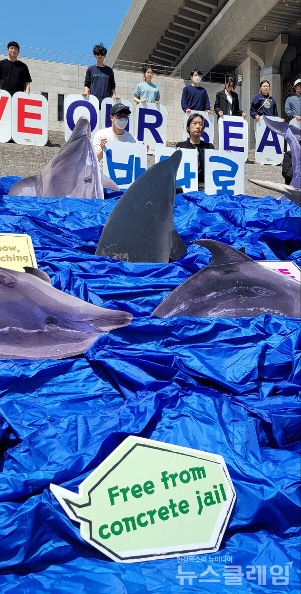 3일 오전 서울 광화문 세종문화회관 앞에서 진행된 ‘전국 6곳 수족관 22마리 고래 바다방류 촉구 캠페인 및 기자회견’. 사진=김서윤 기자