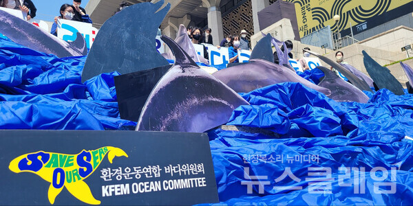 3일 오전 서울 광화문 세종문화회관 앞에서 진행된 ‘전국 6곳 수족관 22마리 고래 바다방류 촉구 캠페인 및 기자회견’. 사진=김서윤 기자