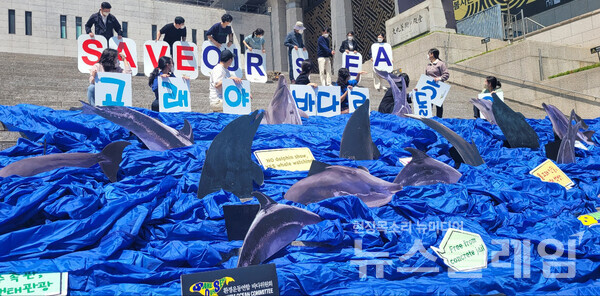 3일 오전 서울 광화문 세종문화회관 앞에서 진행된 ‘전국 6곳 수족관 22마리 고래 바다방류 촉구 캠페인 및 기자회견’. 사진=김서윤 기자