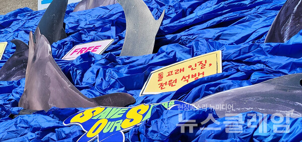 3일 오전 서울 광화문 세종문화회관 앞에서 진행된 ‘전국 6곳 수족관 22마리 고래 바다방류 촉구 캠페인 및 기자회견’. 사진=김서윤 기자