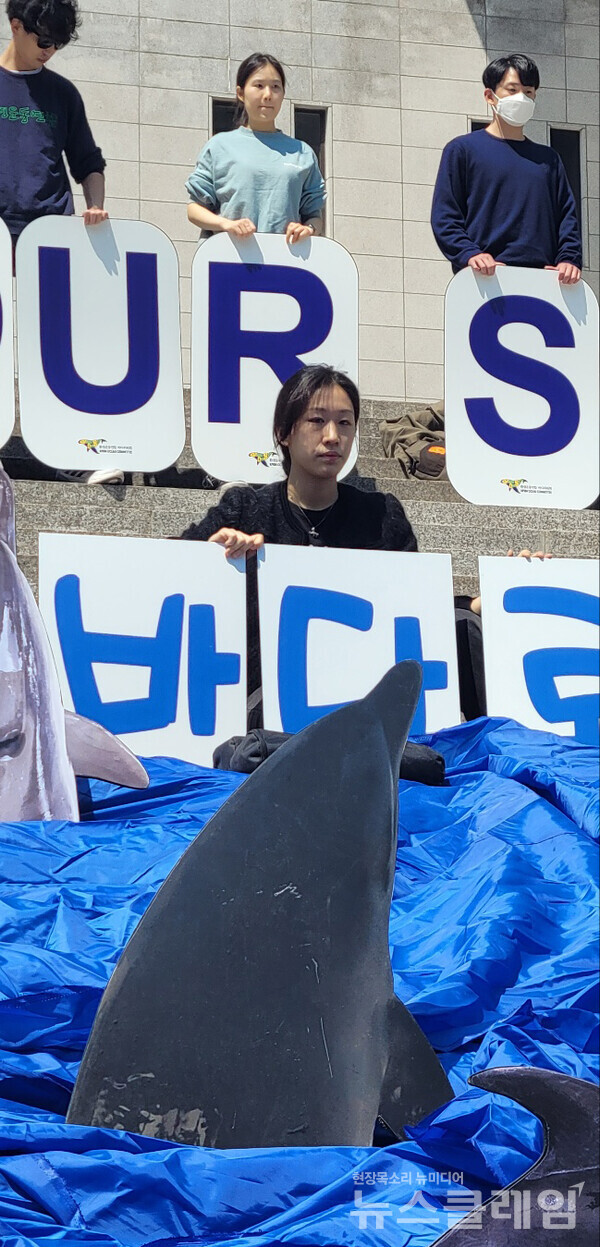 3일 오전 서울 광화문 세종문화회관 앞에서 진행된 ‘전국 6곳 수족관 22마리 고래 바다방류 촉구 캠페인 및 기자회견’. 사진=김서윤 기자