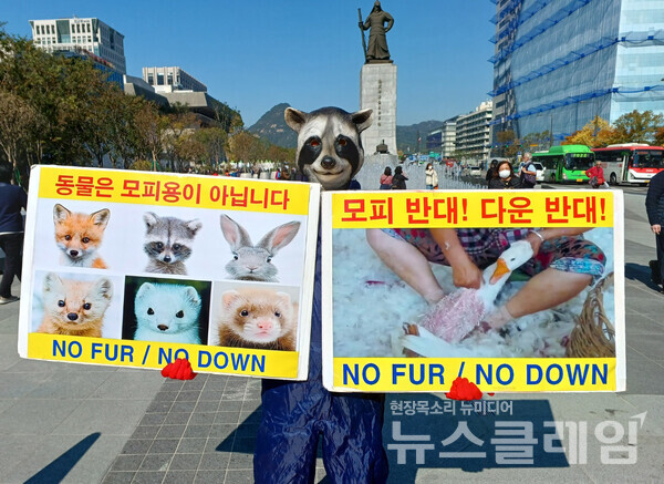한국동물보호연합이 지난 20일 서울 광화문광장에서 모피·다운 반대 기자회견을 하고 있다. 사진=한국동물보호연합