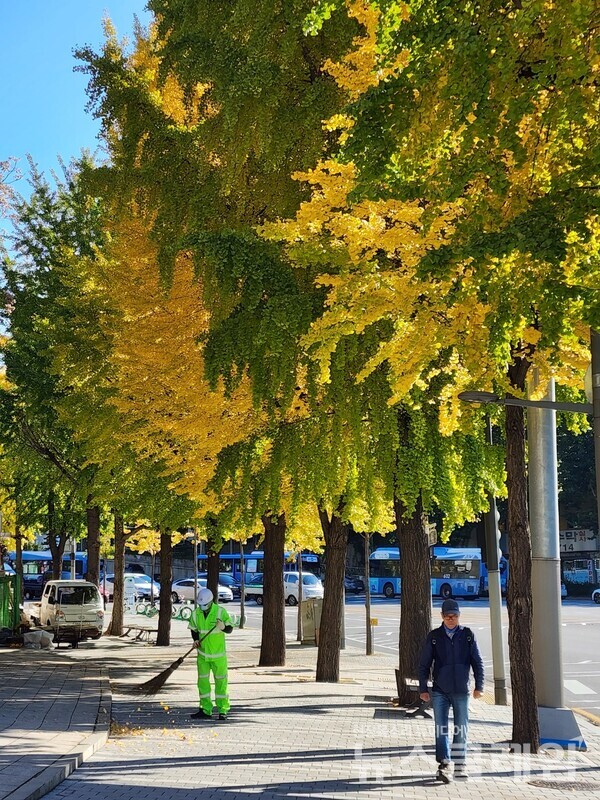 26일 오전 서울 마포구 아현동 가구거리 모습. 사진=김서윤 기자