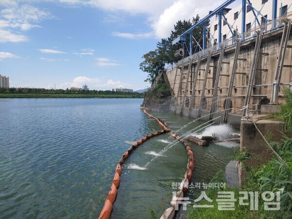 사진=환경운동연합