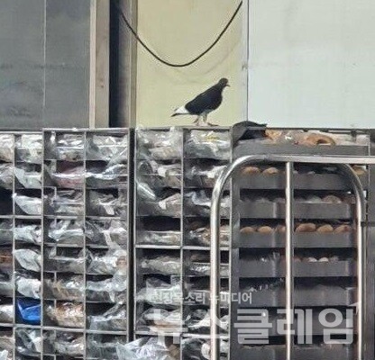 사진=온라인 커뮤니티