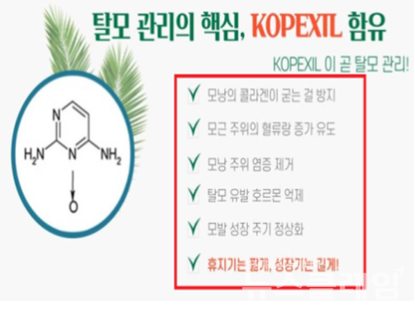 의약품으로 오인·혼동 광고 사례. 사진=식약처