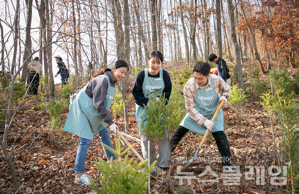 코웨이 임직원들이 코웨이 청정숲 조성을 위해 나무를 심고 있다. 사진=코웨이
