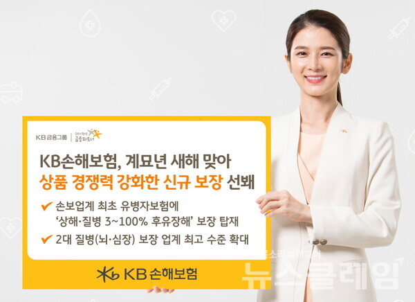 사진=KB손해보험