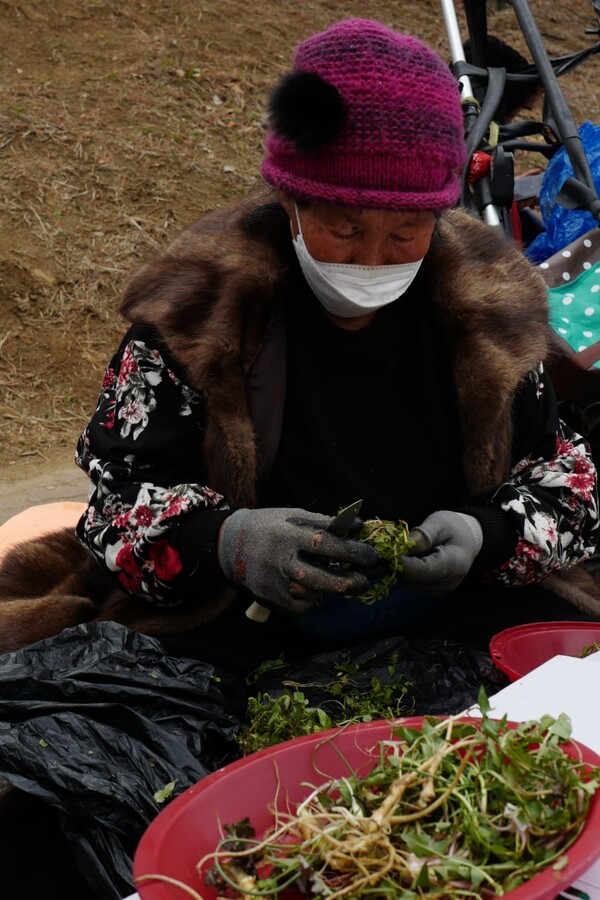 나물을 팔고 있는 안산 5일장 노점상. 사진=최인기 빈민운동가