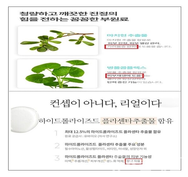 의약품 오인 광고 적발 사례. 사진=식약처