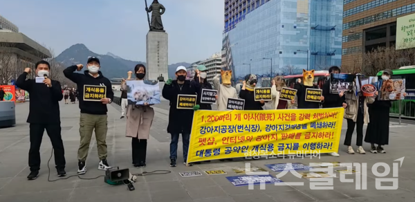 23일 오후 서울 광화문광장에서 진행된 '양평 개 아사 사건 처벌 촉구 기자회견'. 사진=1500만반려인