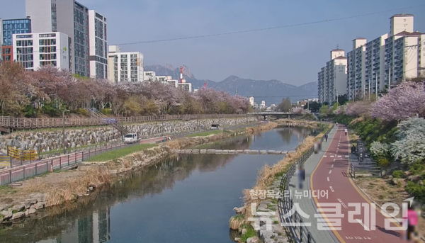 3일 오전 서울 노원 우이천 돌다리 모습. 사진=노원구청