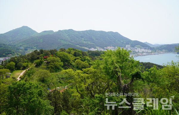 자연 상태의 숲을 약간 손질해 만든 통영생태숲은 찾아오는 이들이 한가하고 평화로운 소풍을 즐길 수 있는 곳이다. 사진=오근식 객원위원
