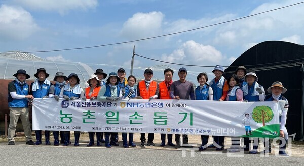 (오른쪽 여섯 번째부터)조은주 NH농협은행 서울본부장, 심성훈 농가대표, 김승영 서울신용보증재단 상임이사, 이상희 서울신용보증재단 신용보증기획부장. 사진=NH농협은행