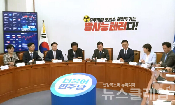 이재명 더불어민주당 대표가 28일 국회에서 열린 최고위원회의에서 발언하고 있다. 사진=더불어민주당