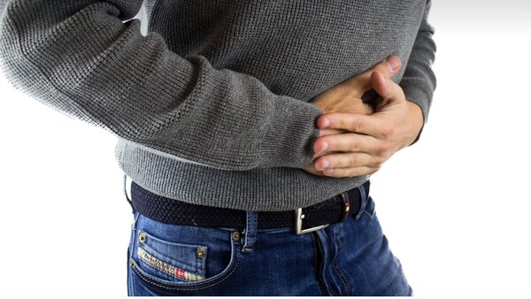 유산균. 픽사베이