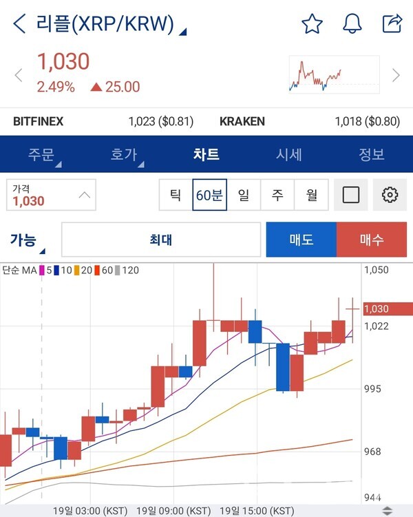 업비트 리플 실시간 차트