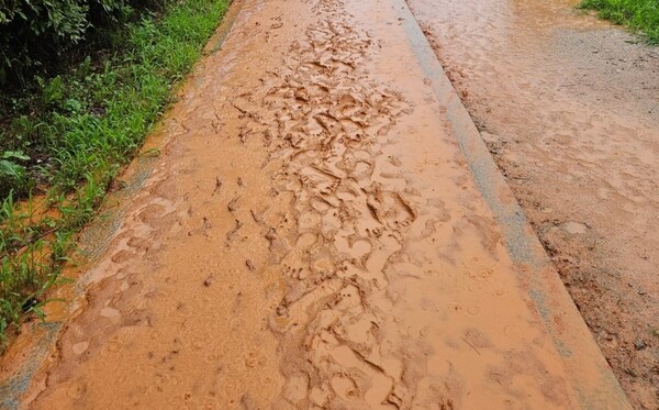 기상청 일기예보. 사진=뉴스클레임 DB