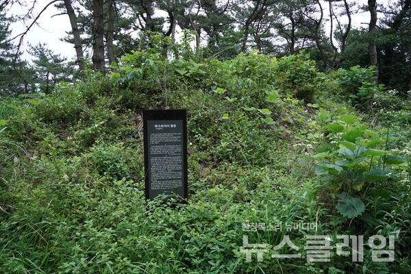 천왕봉을 내려와 약과봉으로 가는 길 입구에서 시금치재 돌탑 안내표지판을 보았다. 돌탑이라기보다는 사람들이 오고 가며 던져 둔 돌무더기인데 이제는 인적이 끊긴 탓에 수풀로 덮여 있다. 사진=오근식 객원위원