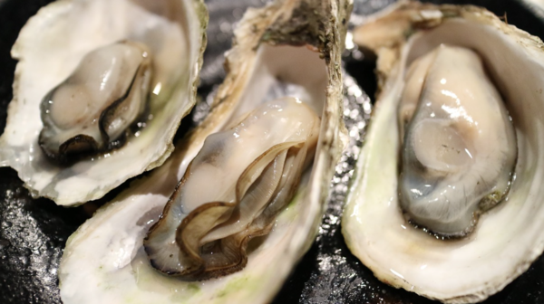 생굴. 사진=픽사베이