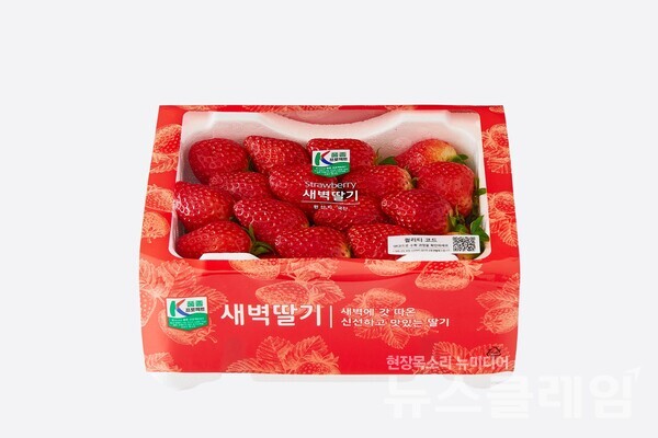 롯데마트와 슈퍼에서 판매하는 새벽 딸기 상품. 롯데쇼핑 제공