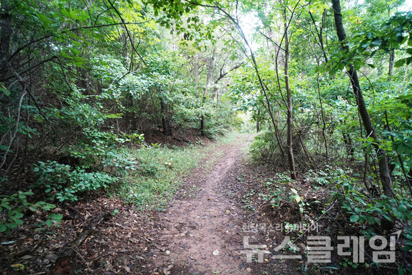 작은 공원을 벗어나 들어간 숲은 오솔길 외에는 거의 사람의 손을 타지 않았다. 사진=오근식 객원위원