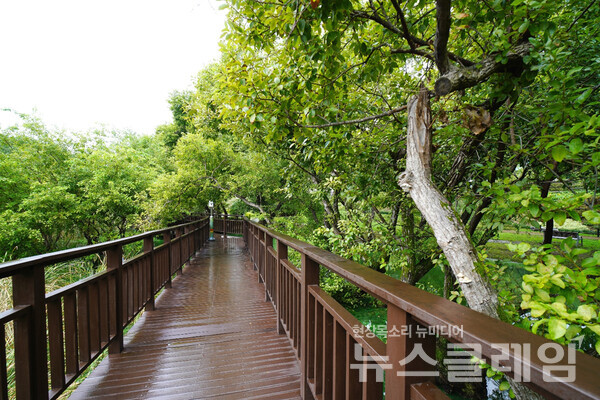 선암저수지의 습지를 건너는 데크길은 산책로이고 물가의 다양한 생물들을 관찰할 수 있는 곳이기도 하다. 사진=오근식 객원위원